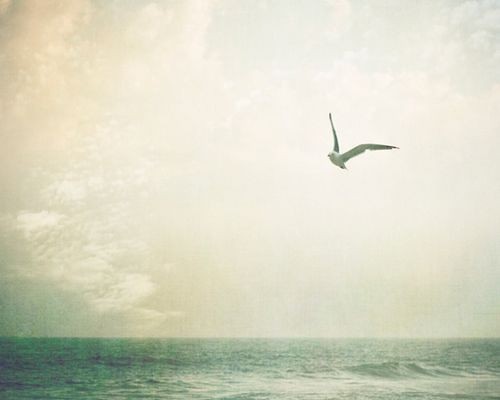 我们可不可以不忧伤